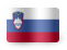 slovenialaw.eu
